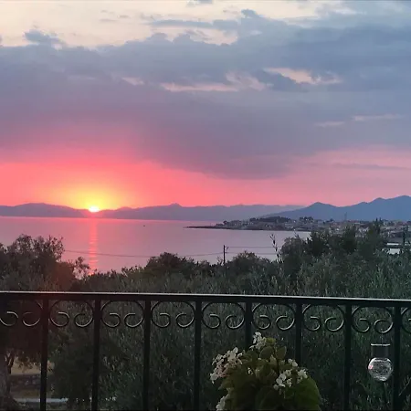 Pefnos * Agios Nikolaos (Mani)